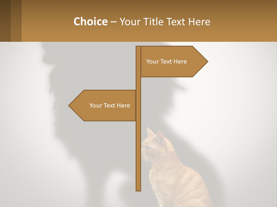 A Cat Sitting In Front Of A Shadow Of A Lion PowerPoint Template