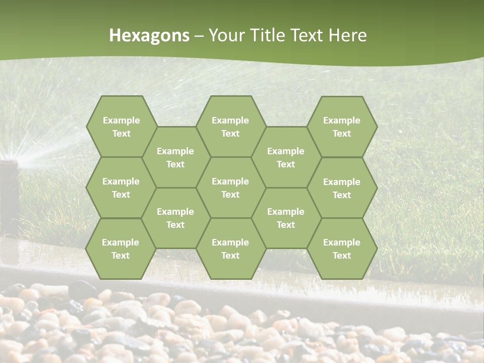 A Sprinkle Is Spraying Water On A Lawn PowerPoint Template