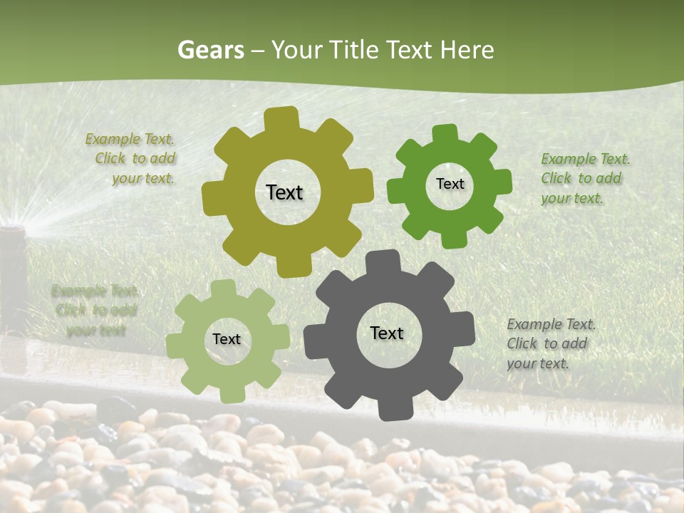 A Sprinkle Is Spraying Water On A Lawn PowerPoint Template