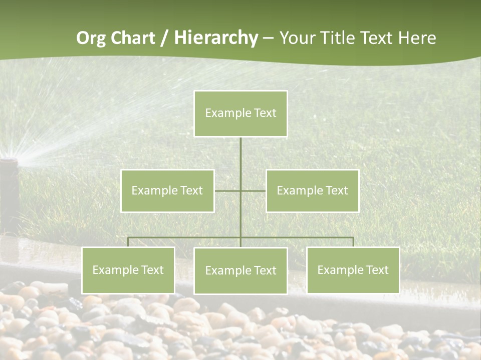 A Sprinkle Is Spraying Water On A Lawn PowerPoint Template