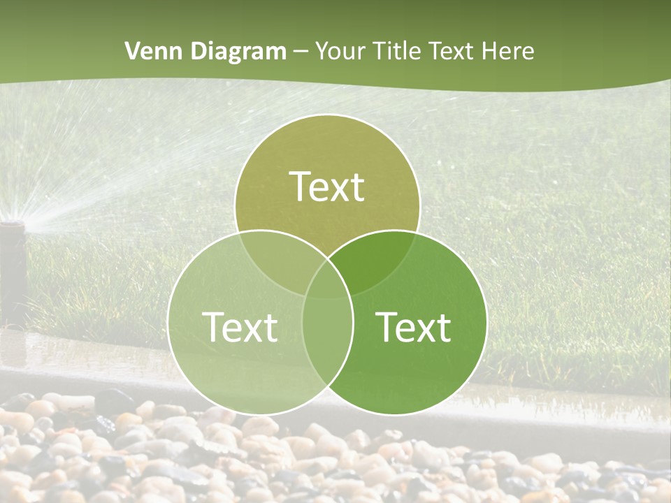 A Sprinkle Is Spraying Water On A Lawn PowerPoint Template