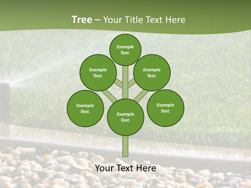 A Sprinkle Is Spraying Water On A Lawn PowerPoint Template