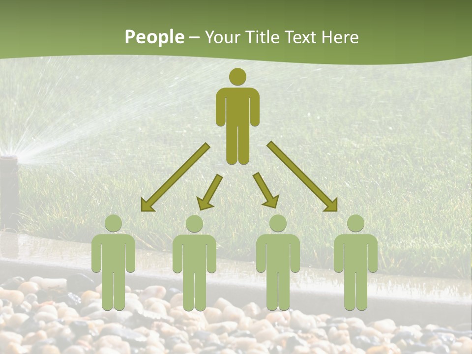 A Sprinkle Is Spraying Water On A Lawn PowerPoint Template