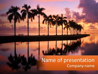 Palm Trees Are Reflected In The Water At Sunset PowerPoint Template