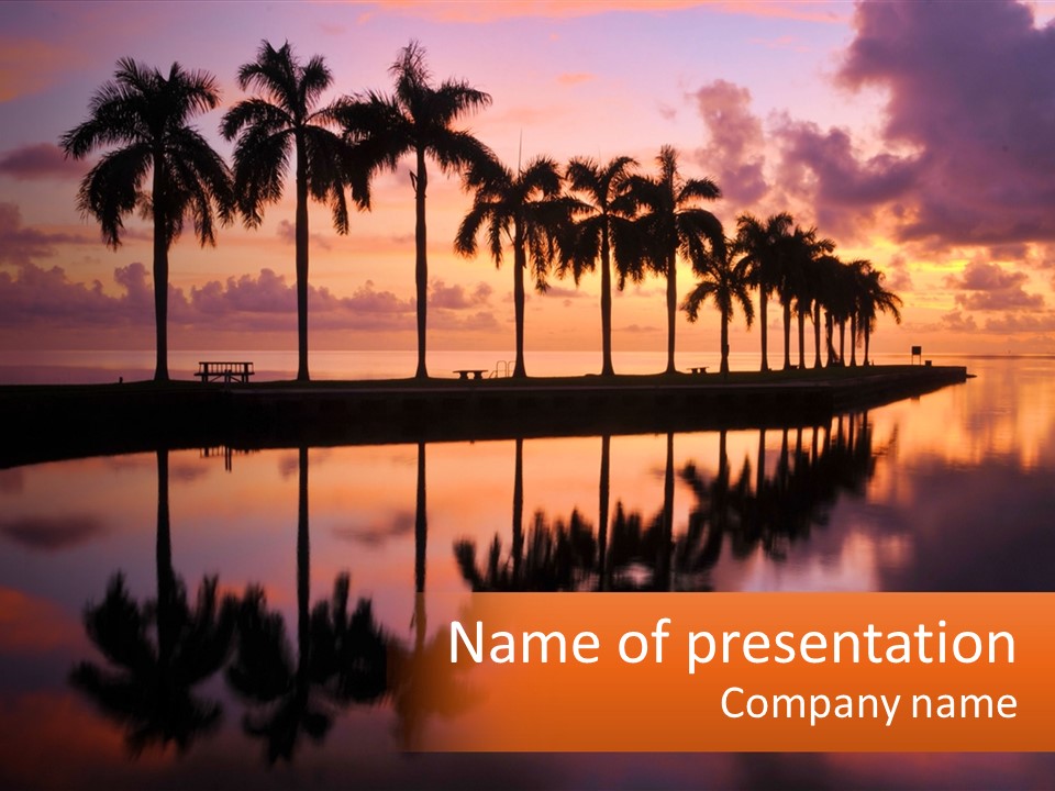 Palm Trees Are Reflected In The Water At Sunset PowerPoint Template