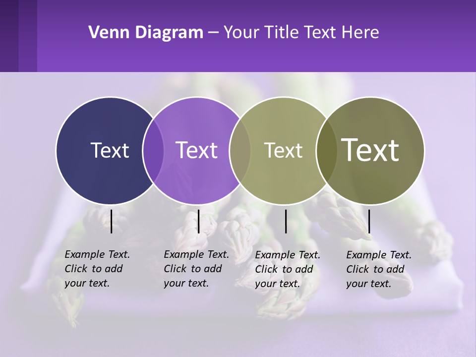 A Bunch Of Green Asparagus On A Purple Surface PowerPoint Template