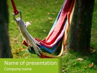 A Colorful Hammock Hanging From A Tree In A Park PowerPoint Template