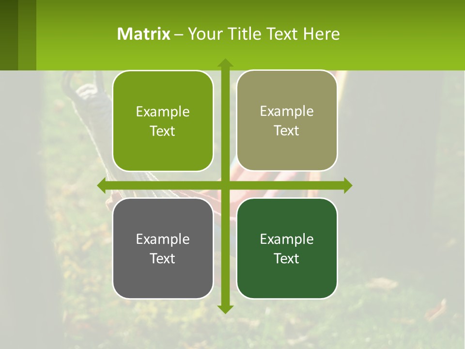 A Colorful Hammock Hanging From A Tree In A Park PowerPoint Template