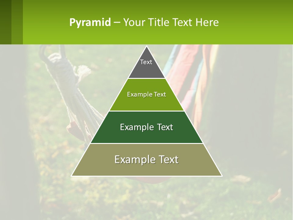 A Colorful Hammock Hanging From A Tree In A Park PowerPoint Template