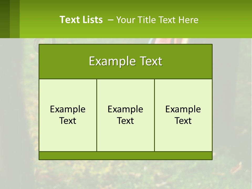 A Colorful Hammock Hanging From A Tree In A Park PowerPoint Template