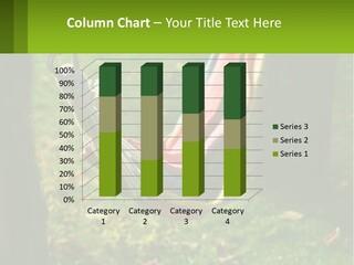 A Colorful Hammock Hanging From A Tree In A Park PowerPoint Template