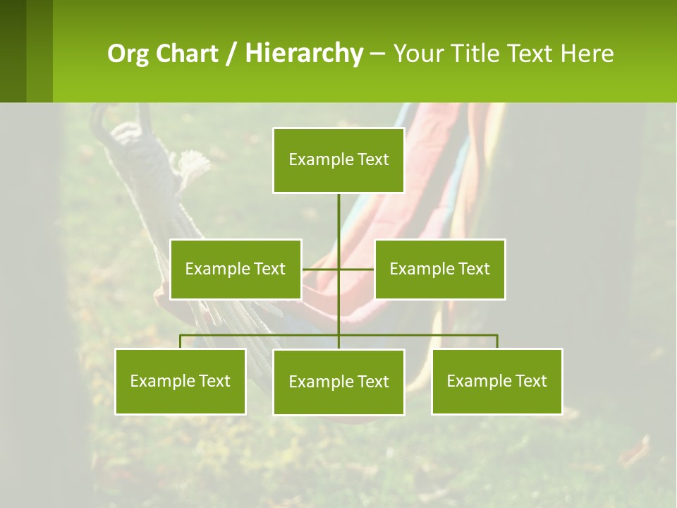 A Colorful Hammock Hanging From A Tree In A Park PowerPoint Template