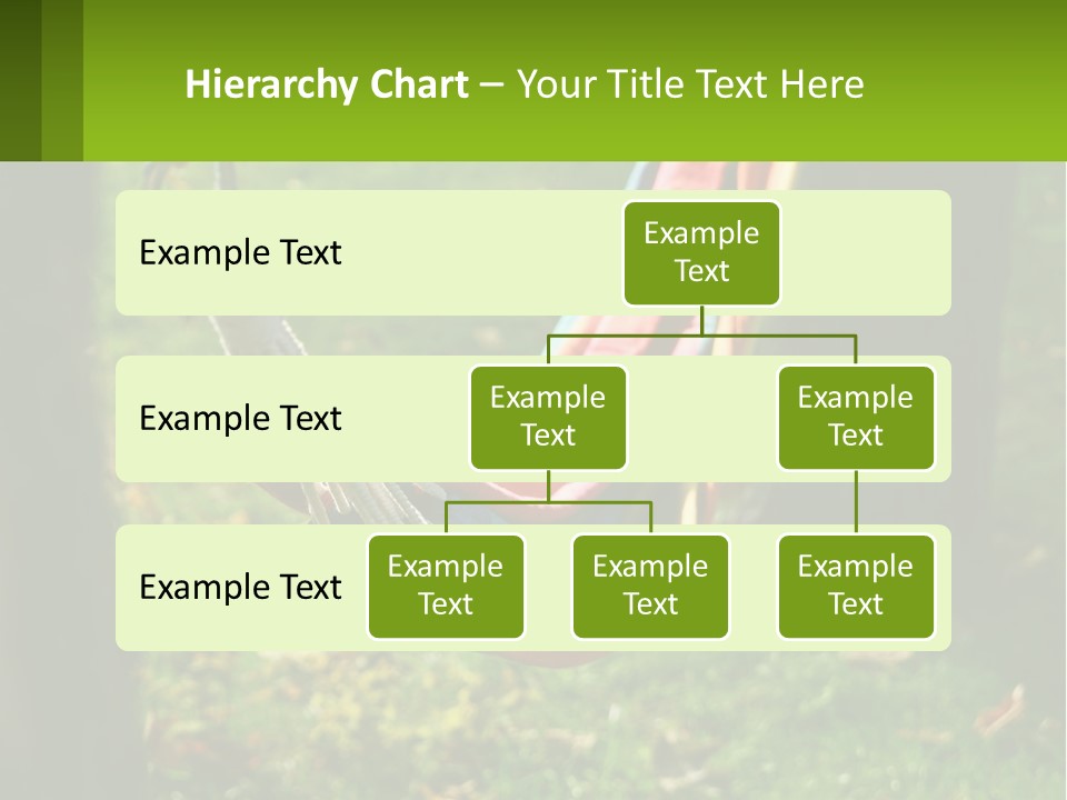 A Colorful Hammock Hanging From A Tree In A Park PowerPoint Template
