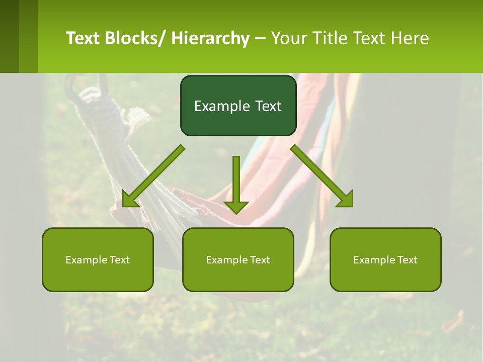 A Colorful Hammock Hanging From A Tree In A Park PowerPoint Template