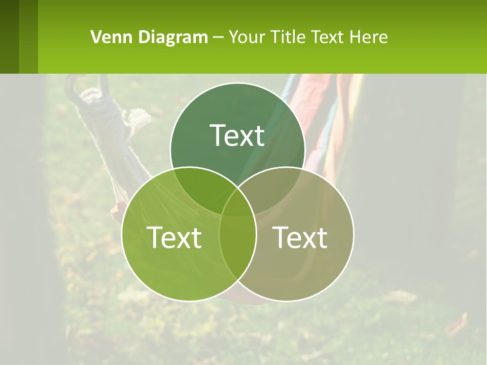 A Colorful Hammock Hanging From A Tree In A Park PowerPoint Template