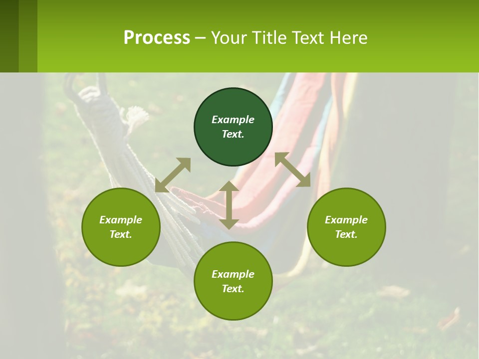 A Colorful Hammock Hanging From A Tree In A Park PowerPoint Template