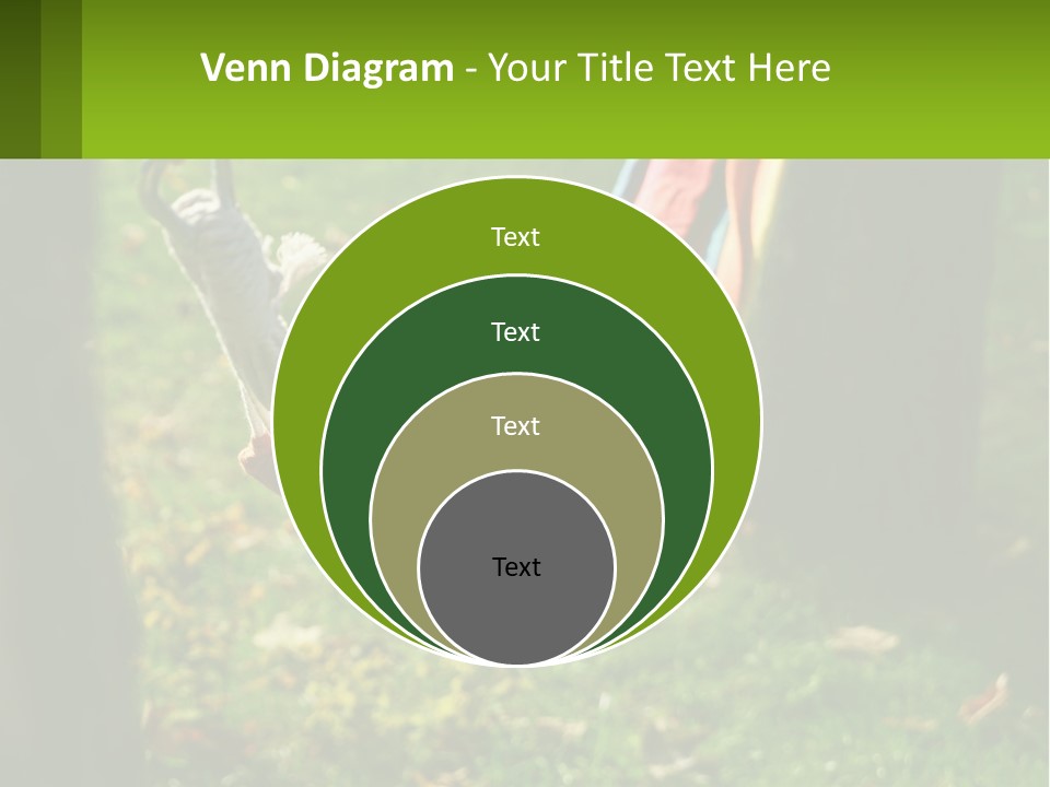 A Colorful Hammock Hanging From A Tree In A Park PowerPoint Template