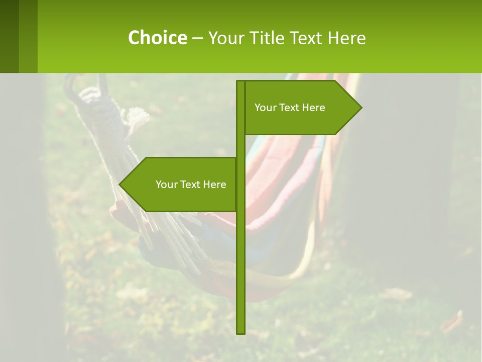 A Colorful Hammock Hanging From A Tree In A Park PowerPoint Template