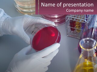 A Person In White Gloves Holding A Red Object PowerPoint Template