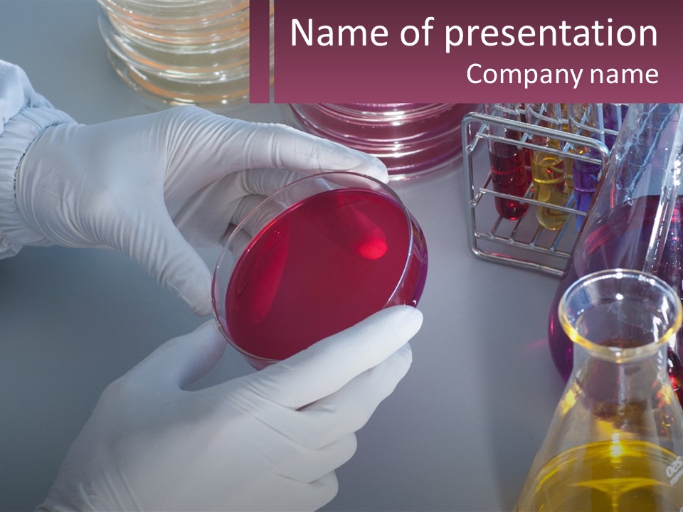 A Person In White Gloves Holding A Red Object PowerPoint Template