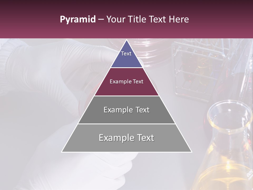 A Person In White Gloves Holding A Red Object PowerPoint Template