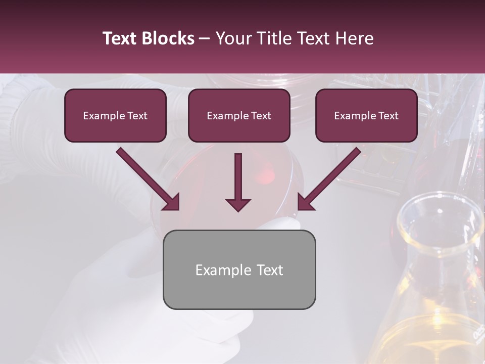 A Person In White Gloves Holding A Red Object PowerPoint Template