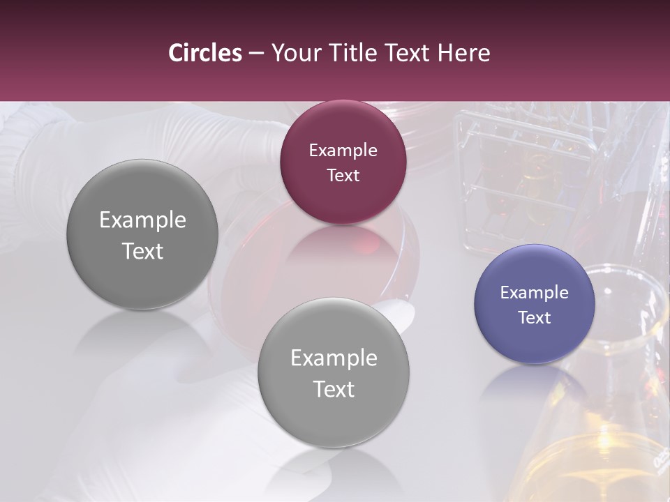 A Person In White Gloves Holding A Red Object PowerPoint Template