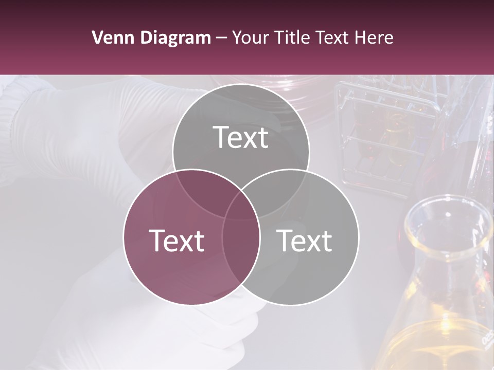 A Person In White Gloves Holding A Red Object PowerPoint Template
