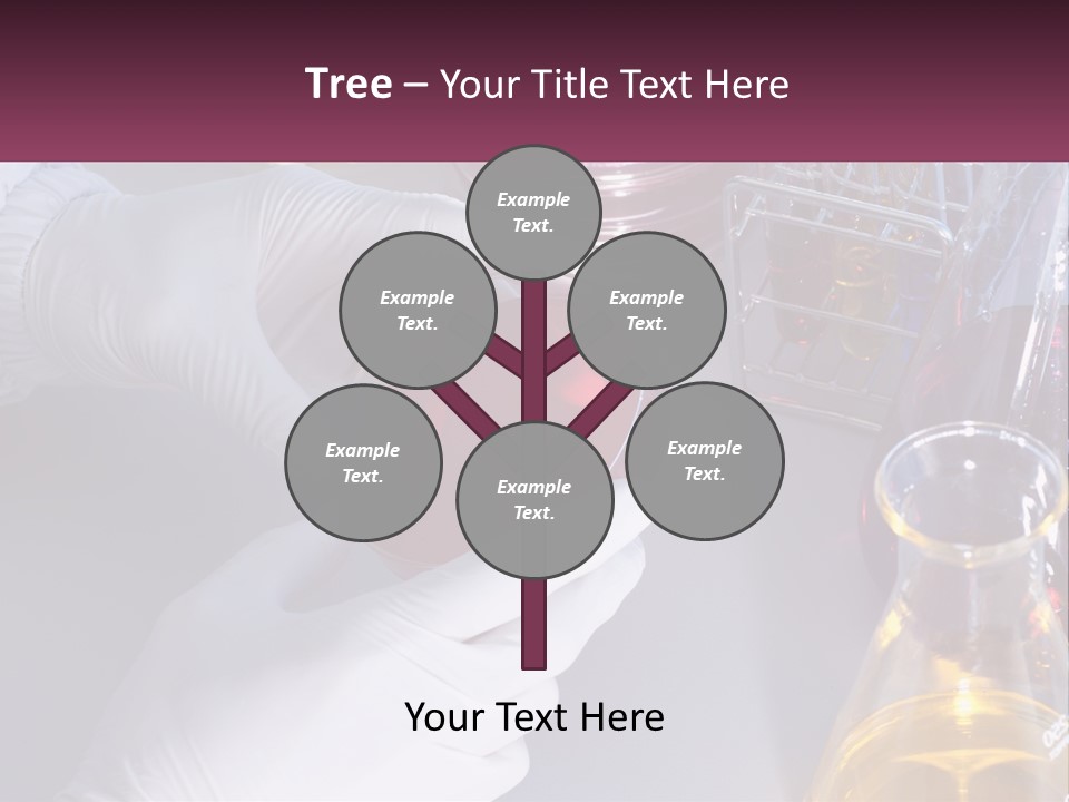 A Person In White Gloves Holding A Red Object PowerPoint Template
