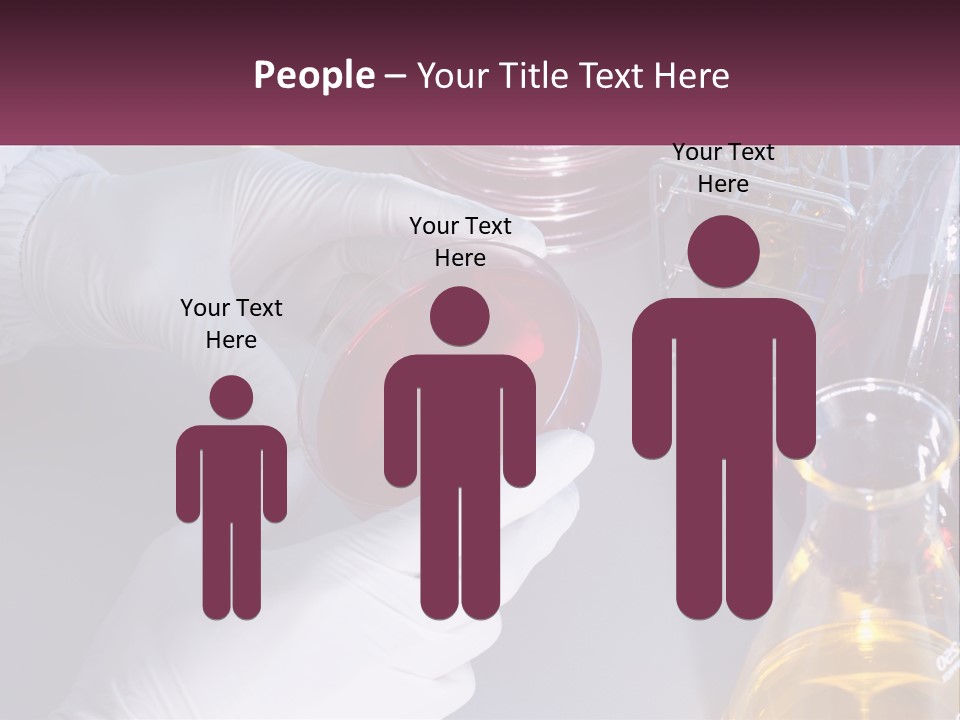 A Person In White Gloves Holding A Red Object PowerPoint Template