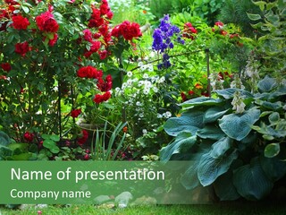 A Garden Filled With Lots Of Flowers And Plants PowerPoint Template