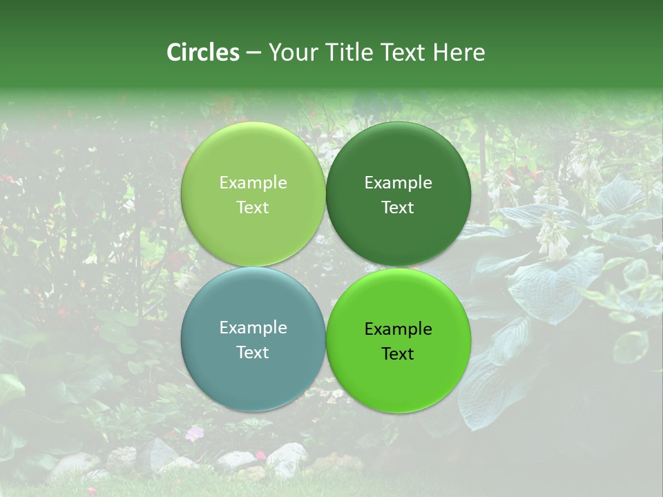 A Garden Filled With Lots Of Flowers And Plants PowerPoint Template