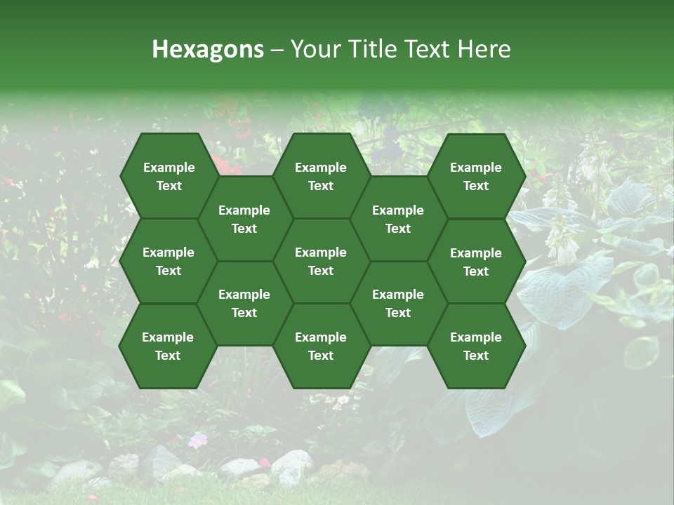 A Garden Filled With Lots Of Flowers And Plants PowerPoint Template