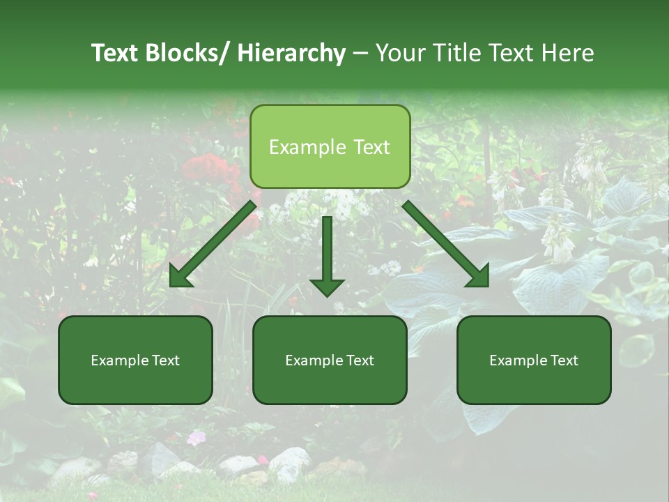 A Garden Filled With Lots Of Flowers And Plants PowerPoint Template