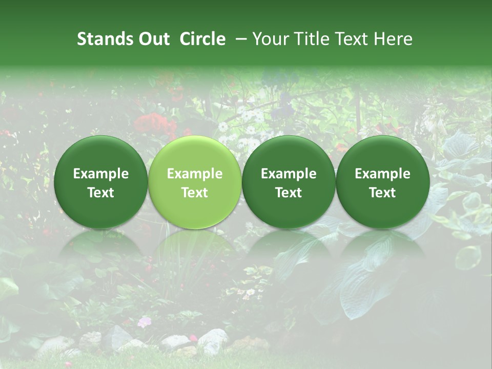 A Garden Filled With Lots Of Flowers And Plants PowerPoint Template
