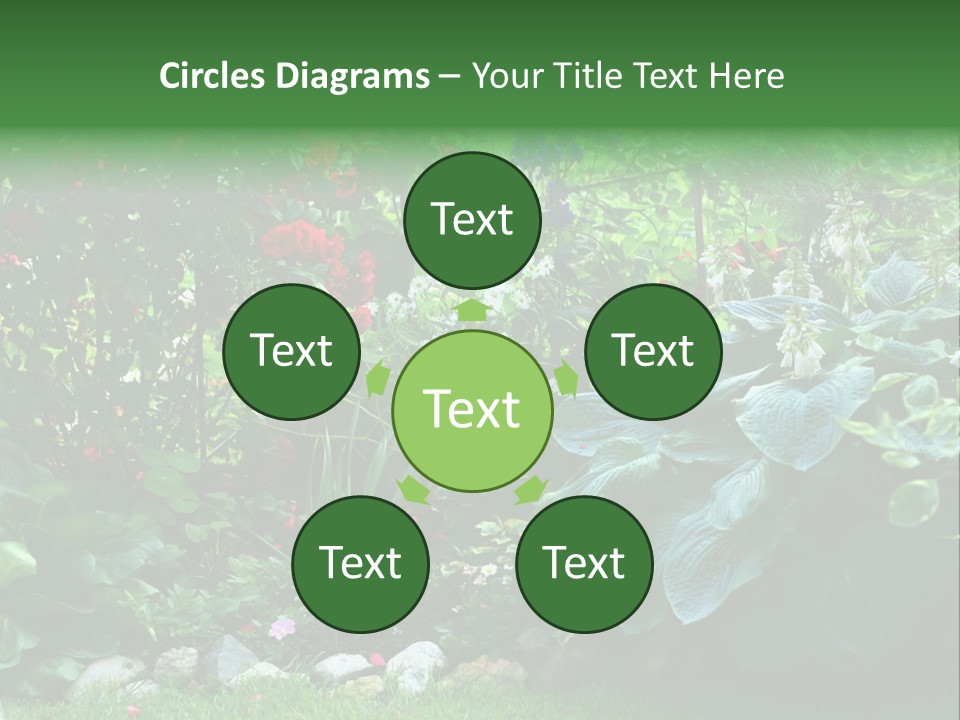 A Garden Filled With Lots Of Flowers And Plants PowerPoint Template