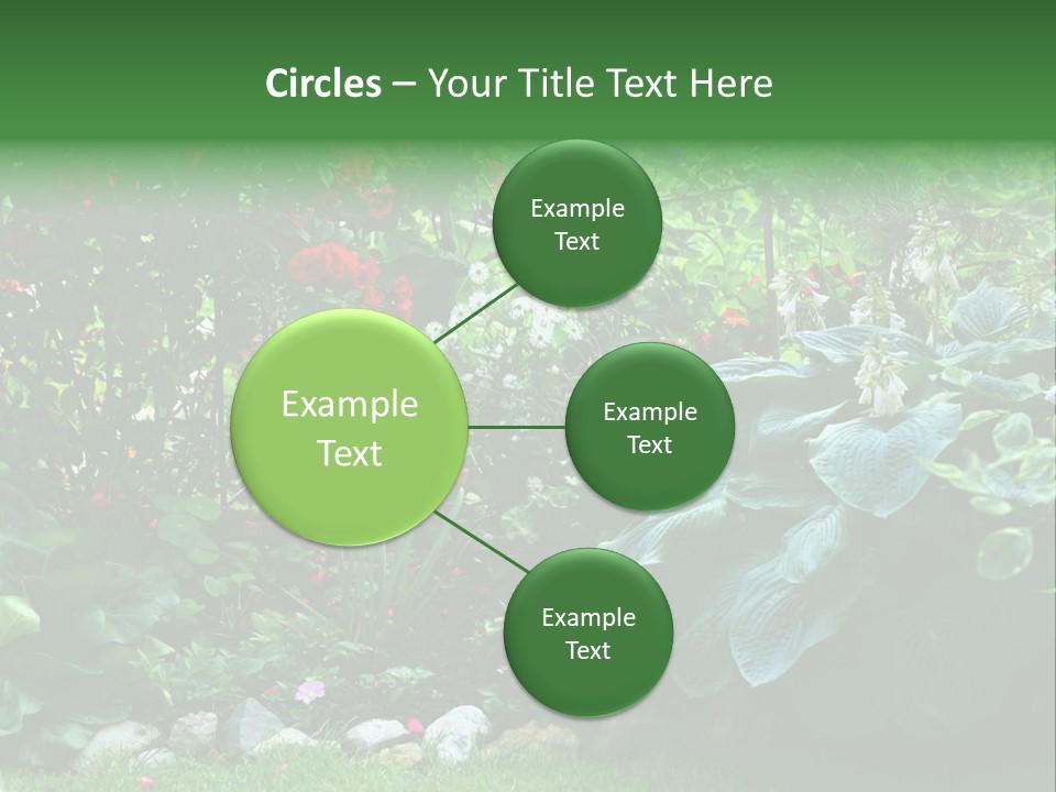 A Garden Filled With Lots Of Flowers And Plants PowerPoint Template