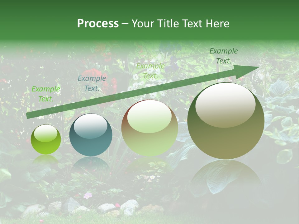 A Garden Filled With Lots Of Flowers And Plants PowerPoint Template