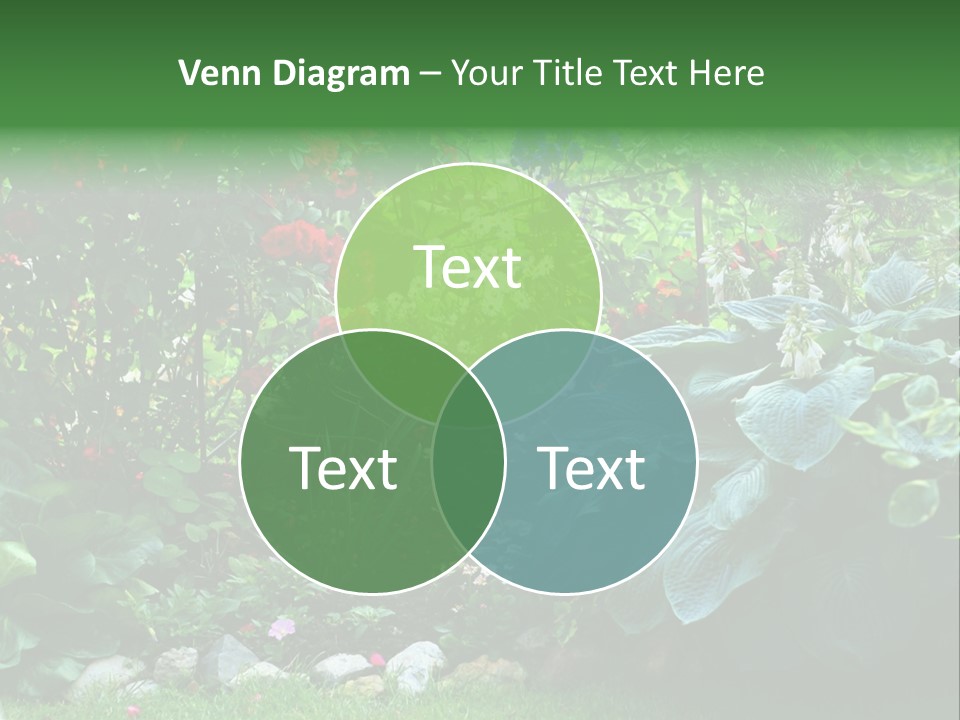 A Garden Filled With Lots Of Flowers And Plants PowerPoint Template