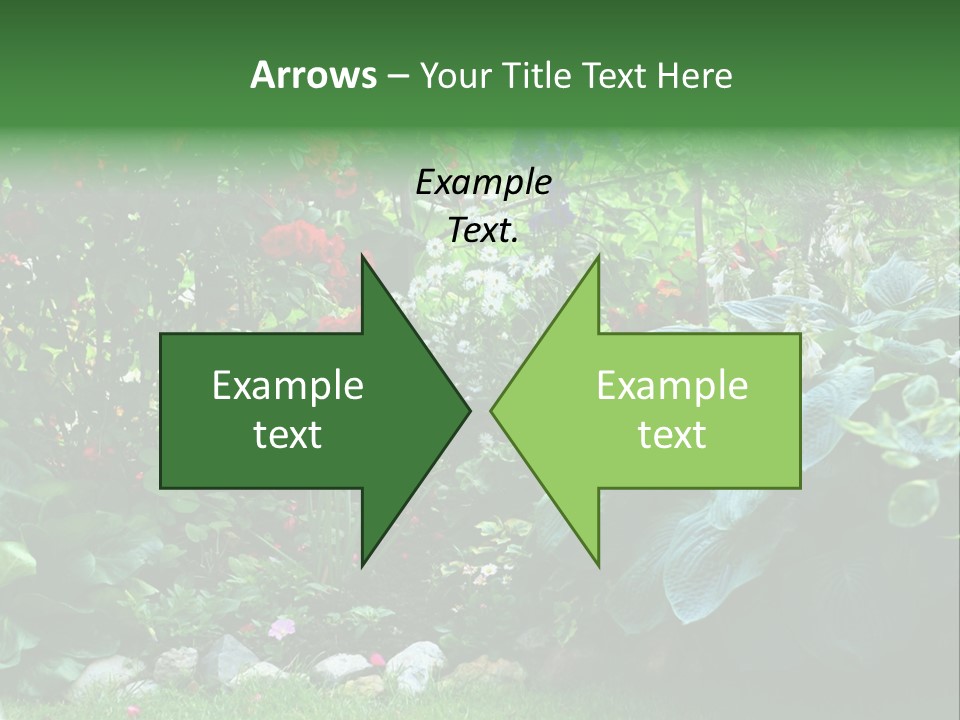 A Garden Filled With Lots Of Flowers And Plants PowerPoint Template