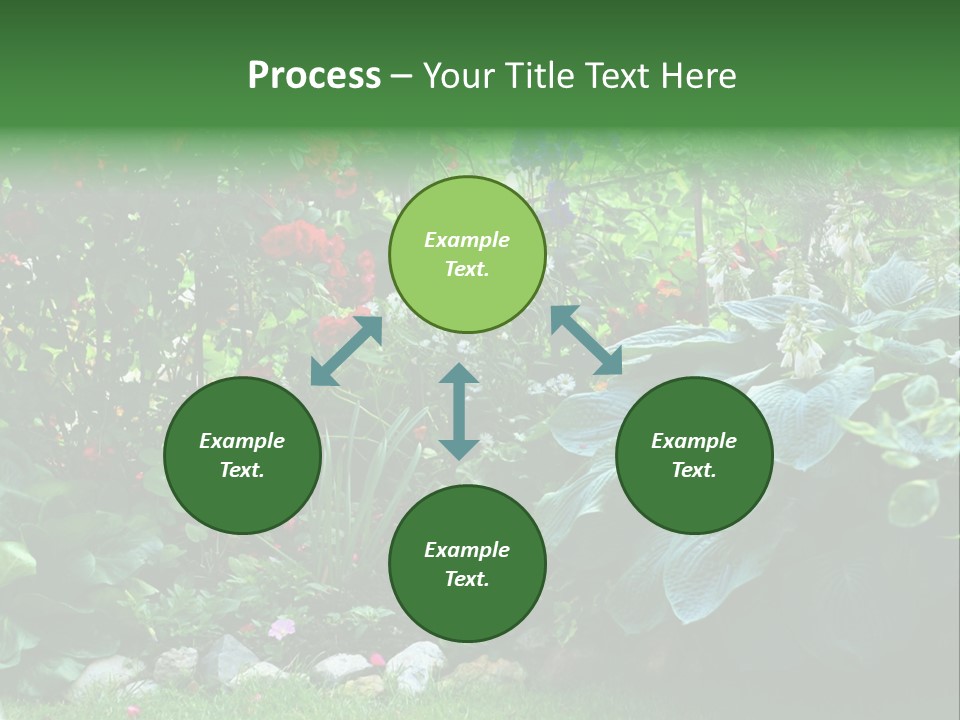A Garden Filled With Lots Of Flowers And Plants PowerPoint Template