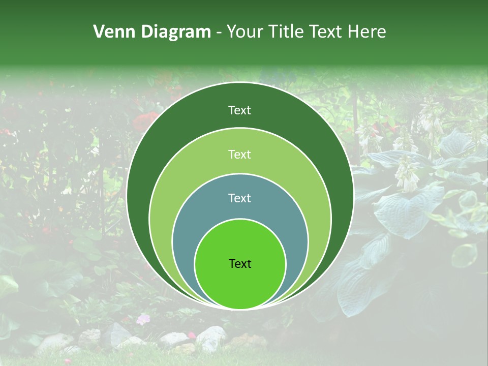 A Garden Filled With Lots Of Flowers And Plants PowerPoint Template
