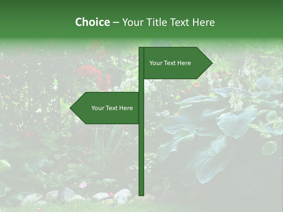 A Garden Filled With Lots Of Flowers And Plants PowerPoint Template