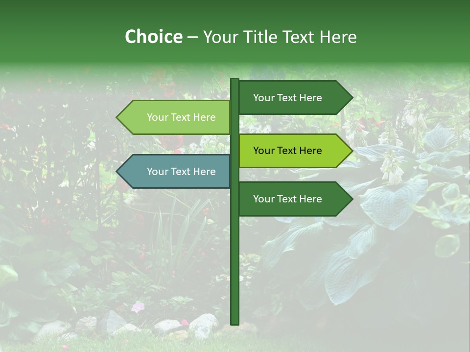 A Garden Filled With Lots Of Flowers And Plants PowerPoint Template