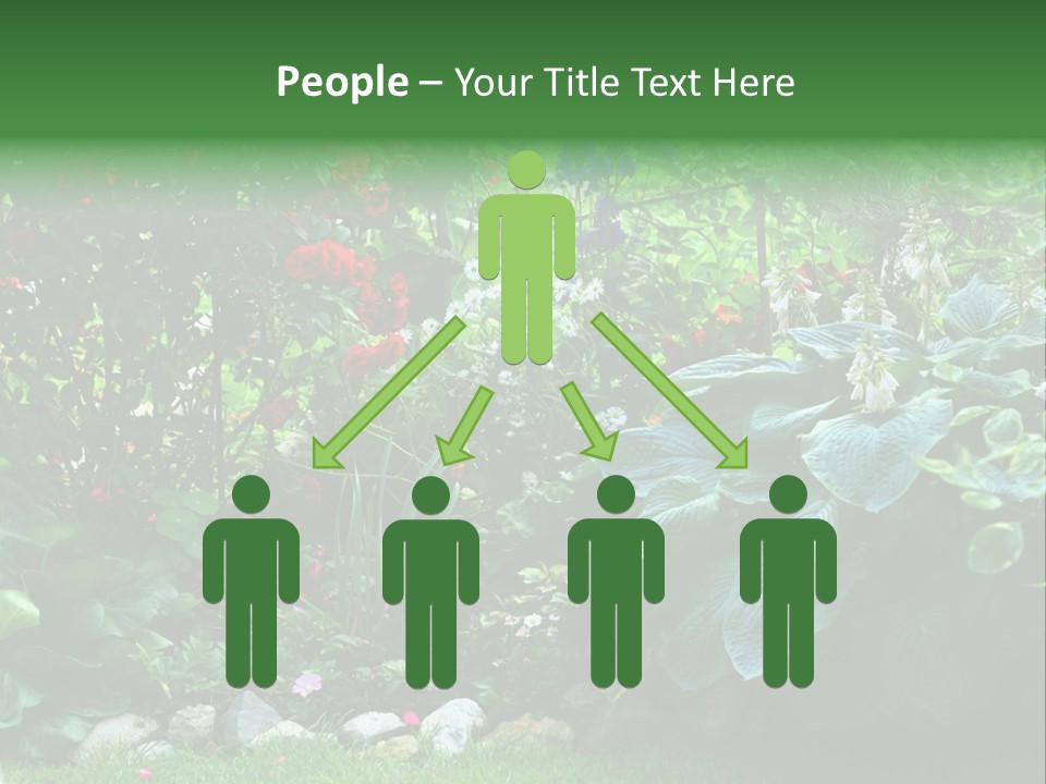 A Garden Filled With Lots Of Flowers And Plants PowerPoint Template