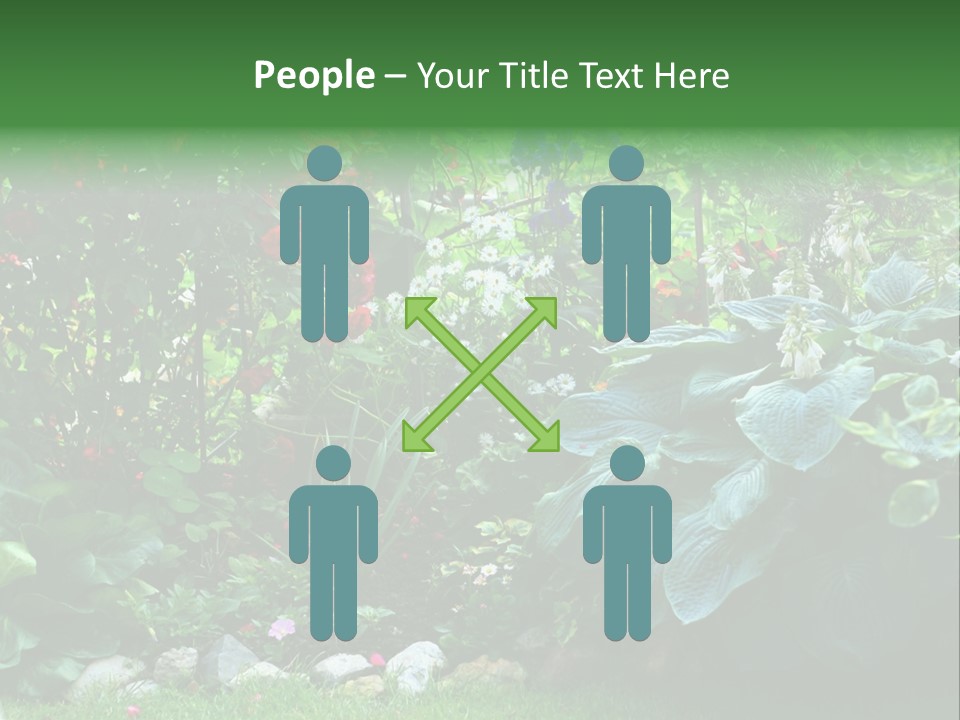 A Garden Filled With Lots Of Flowers And Plants PowerPoint Template