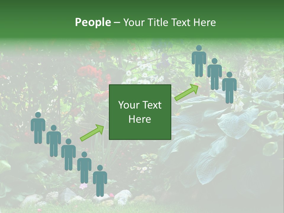 A Garden Filled With Lots Of Flowers And Plants PowerPoint Template