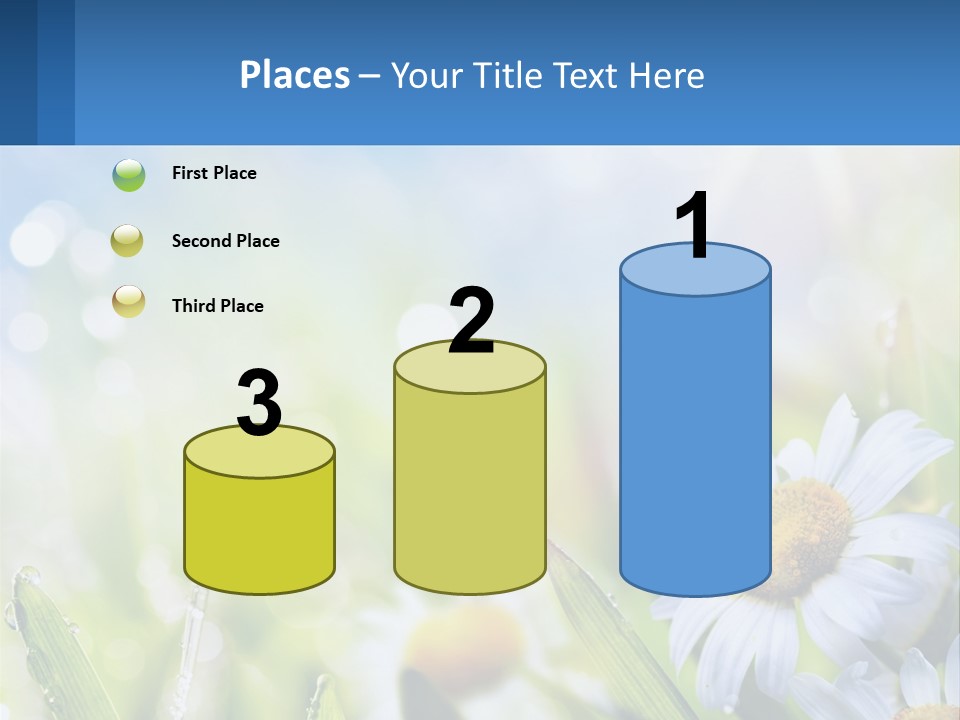 A Powerpoint Presentation With Daisies In The Grass PowerPoint Template