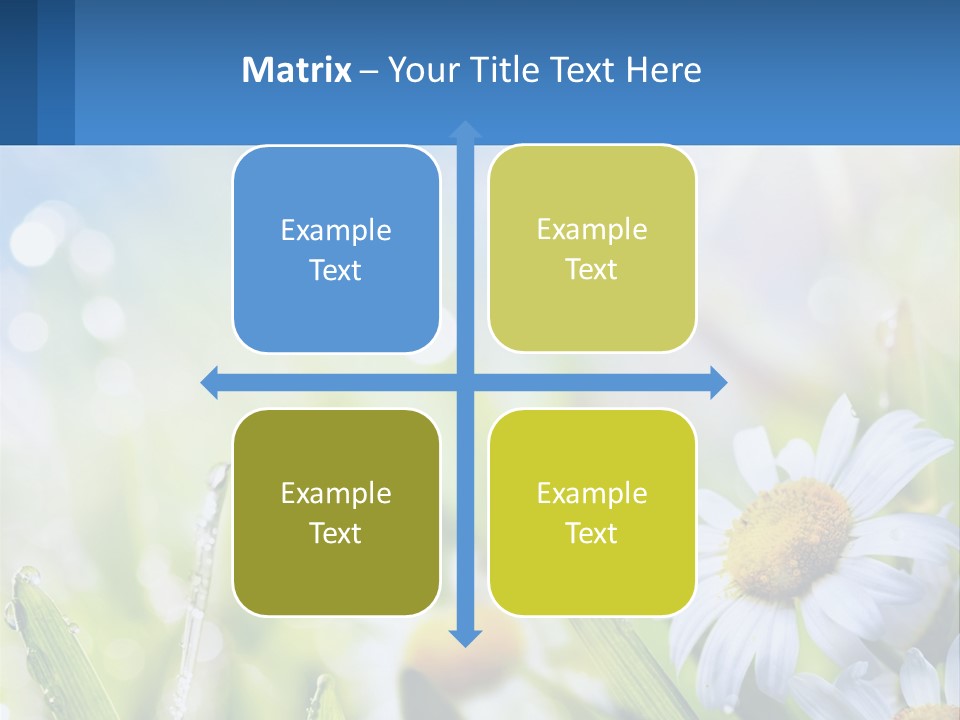 A Powerpoint Presentation With Daisies In The Grass PowerPoint Template