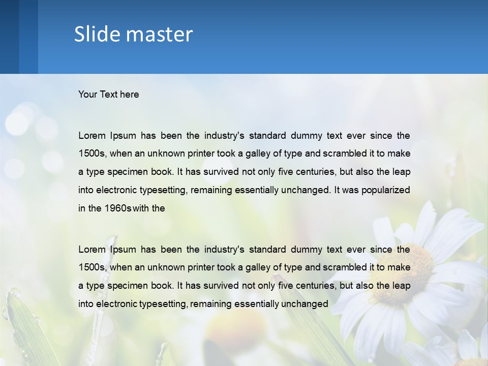 A Powerpoint Presentation With Daisies In The Grass PowerPoint Template